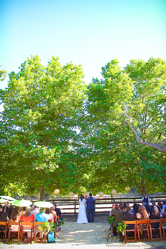 thacher-winery-wedding-peerjohnson15