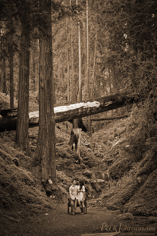 big-sur-elopement-23