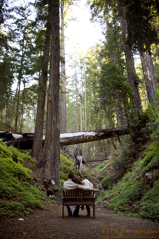 big-sur-elopement-24