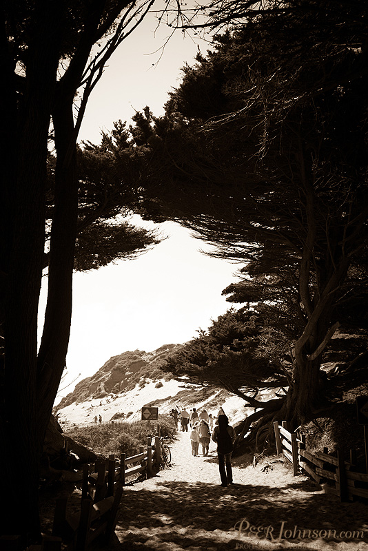 bigsurwedding20 Wedding Pfieffer Beach