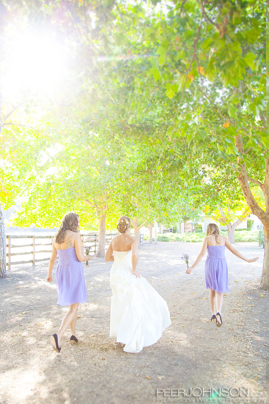 Wedding Thacher Winery Thacher Winery Wedding
