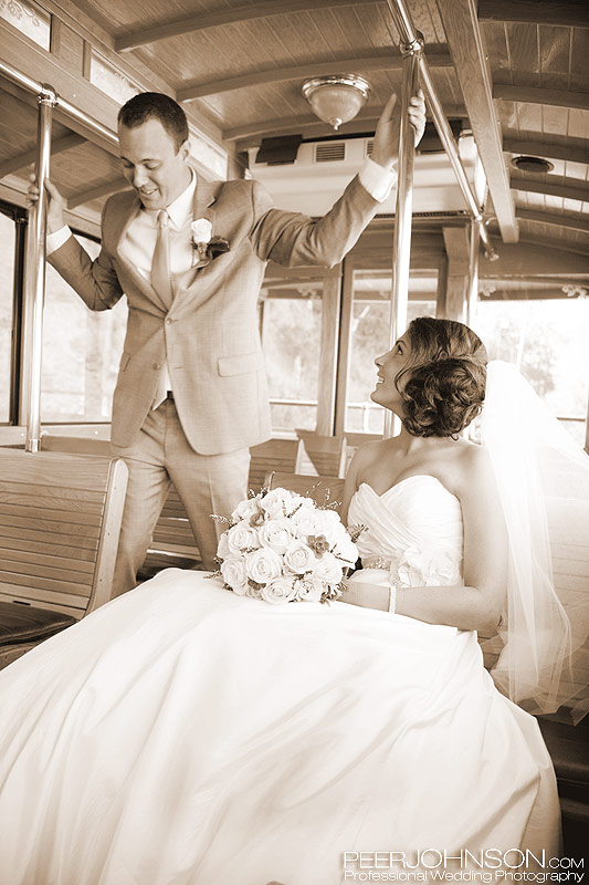 Wedding in Cambria Wedding-in-Cambria