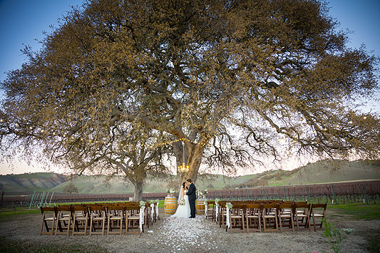 Ceremony Cass Winery Wedding Ceremony Cass Winery
