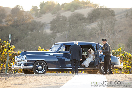 Vintage Limo Cass Winery Cass Winery Vintage Limo