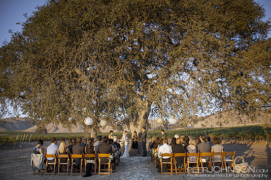 CassWineryWeddingCeremony