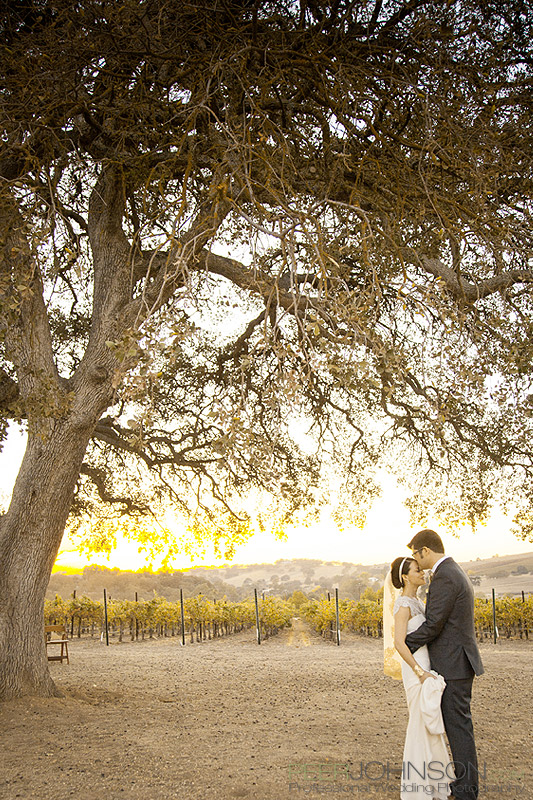 WeddingCassWinery