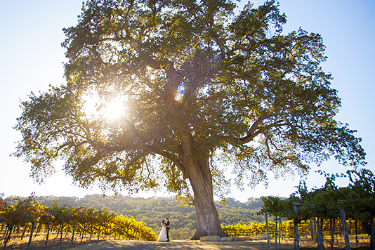 HammerSkySunsetWedding