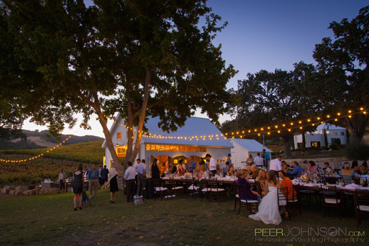HammerSkyWinery