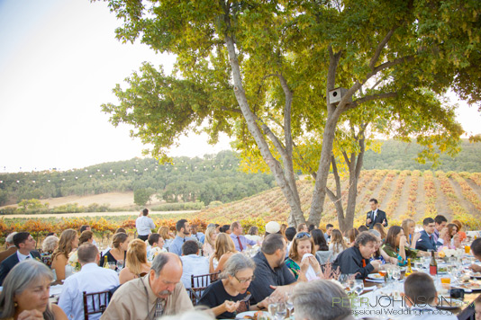 PasoRoblesVineyard