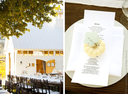 Wedding-HammerSky