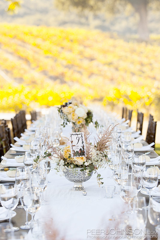 HammerSky Wedding Reception Wedding Reception HammerSky