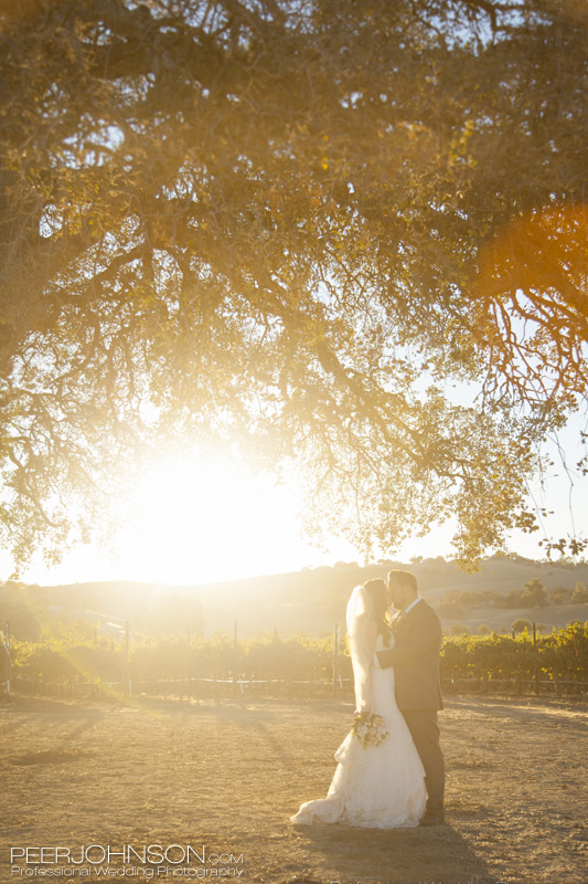 Cass-Winery-25