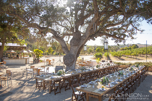 Cass-Winery-28