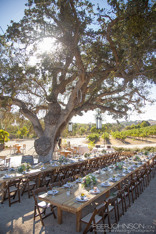 Cass-Winery-29