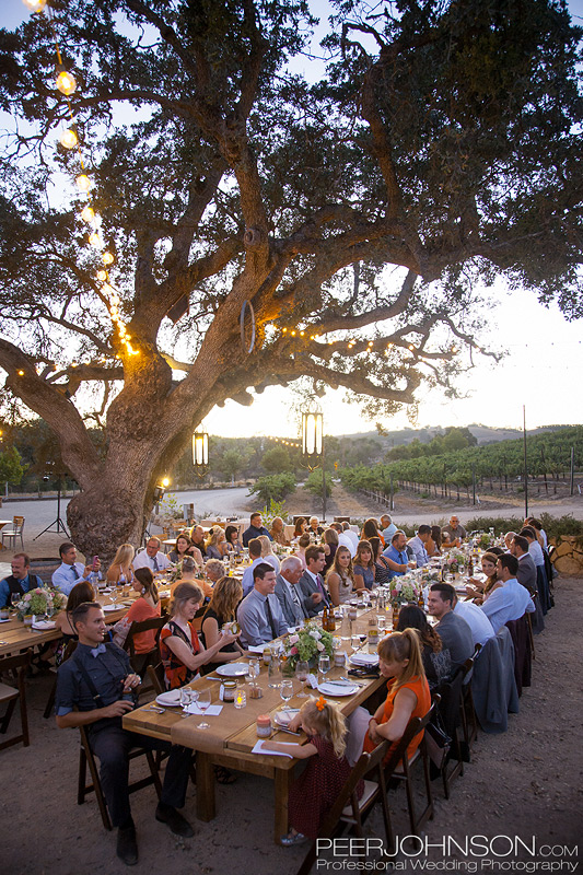 Cass-Winery-34