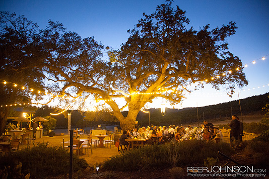 Cass-Winery-36