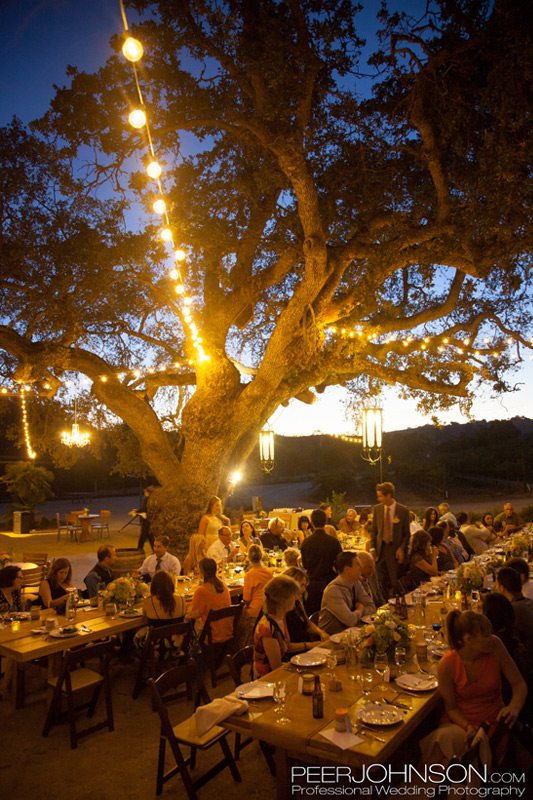 Cass-Winery-37