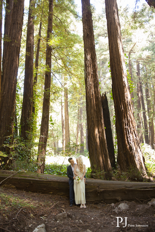 Glen Oaks Elopement