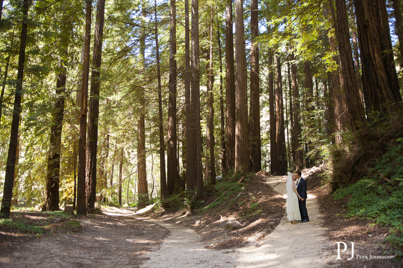 glen oaks elopement