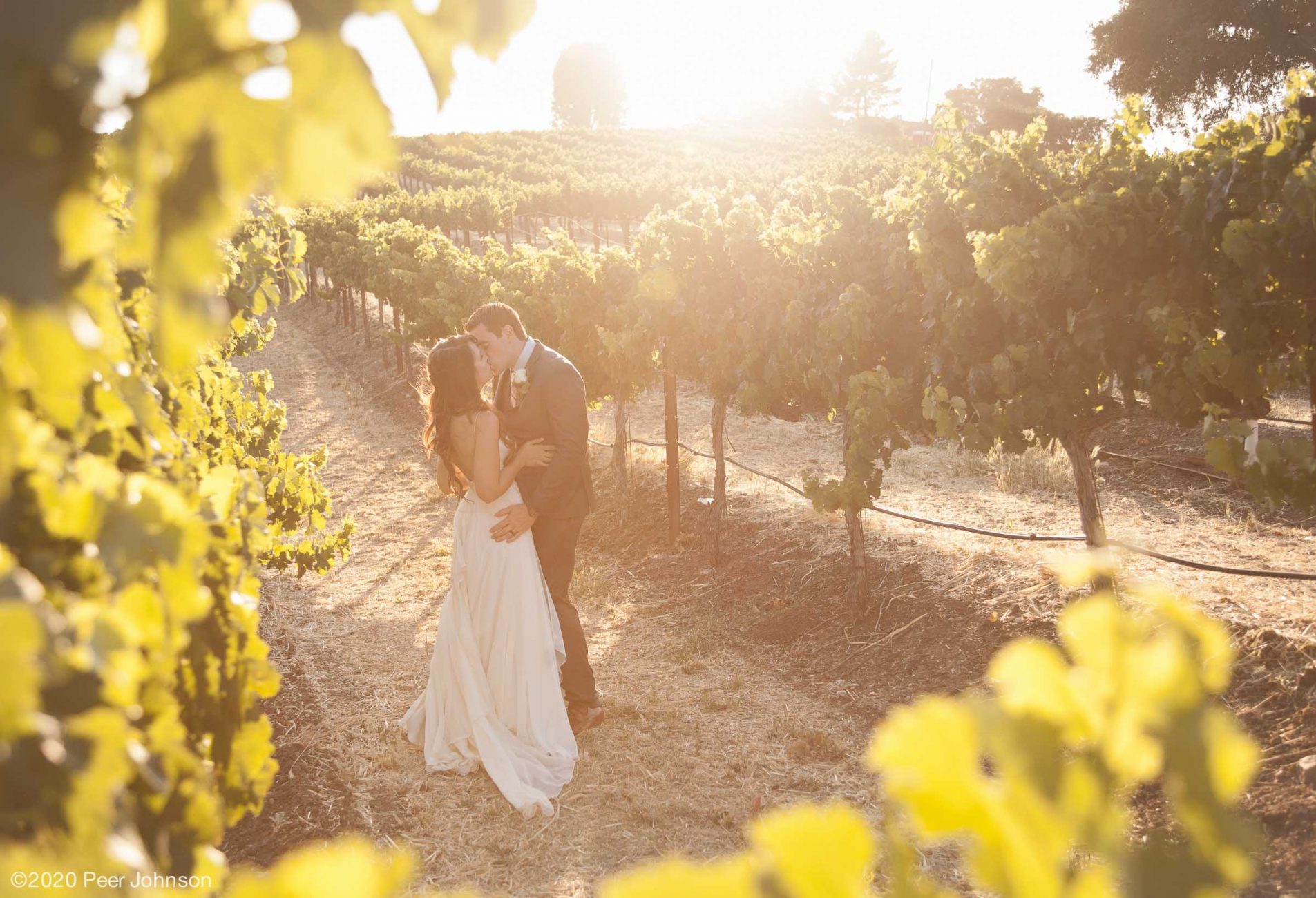 Cambria Sunset Wedding