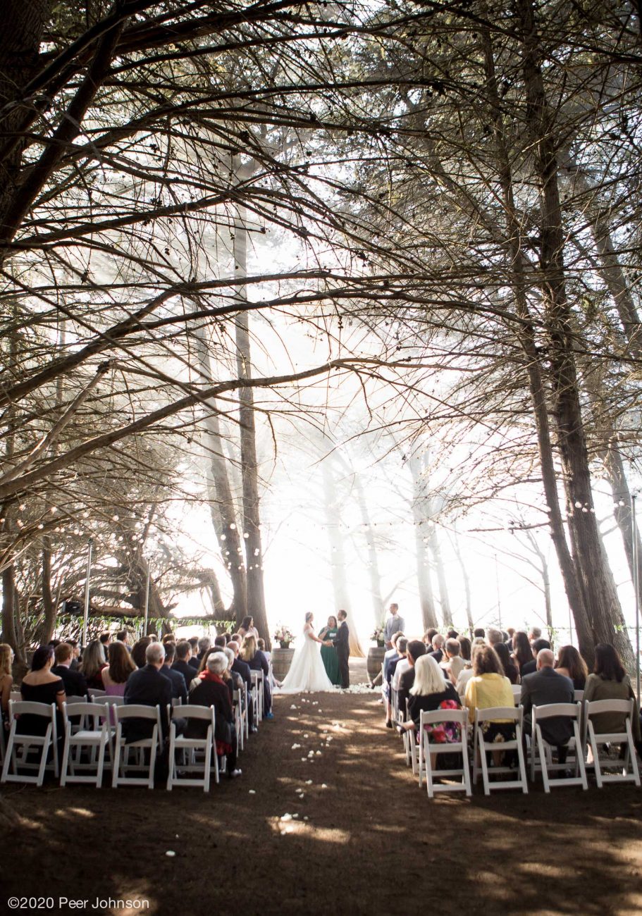 Ragged Point Wedding