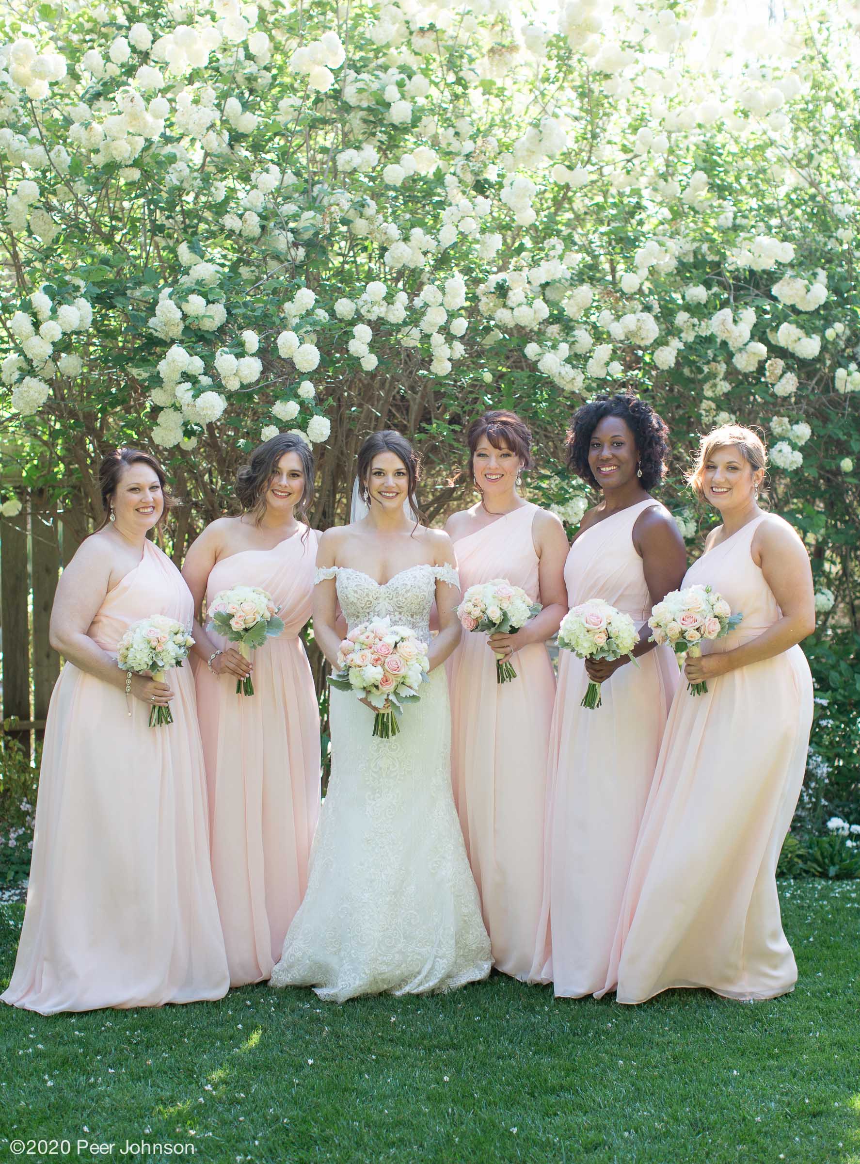 Cambria Wedding
